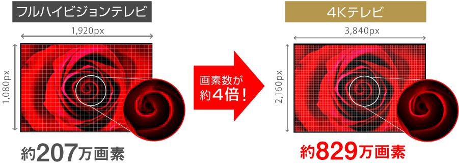 spot | GH-TV50CGE-BK | GREEN HOUSE グリーンハウス