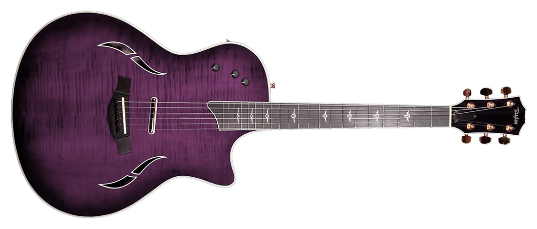 Taylor T5 | Guitarcloud - Prince Equipment Archive