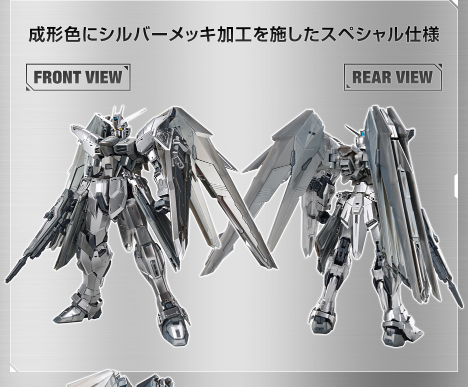 MG 1/100 ガンダムベース限定 フリーダムガンダム Ver.2.0[シルバー