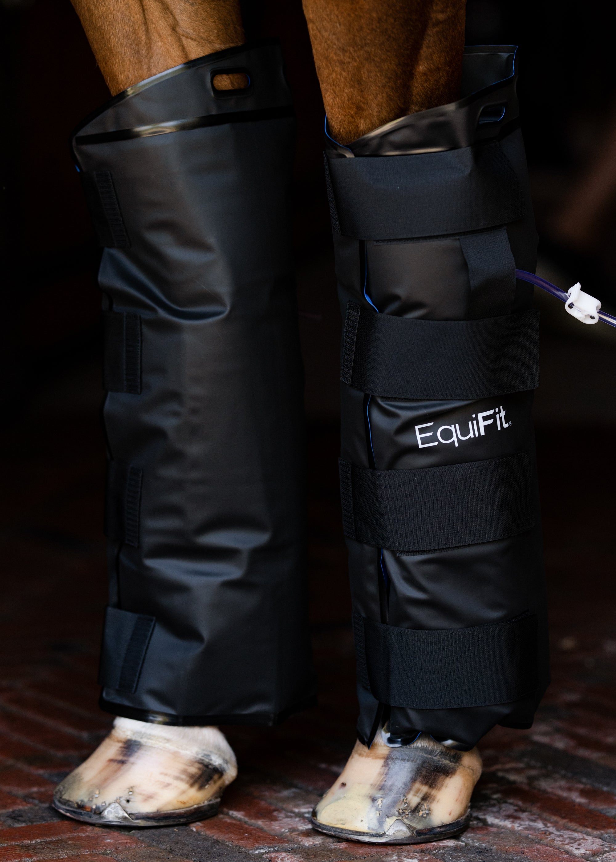 EquiFit® IceAir™ Cold Therapy Boots – Dover Saddlery