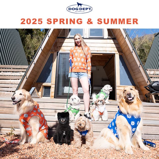 2025春夏アイテム