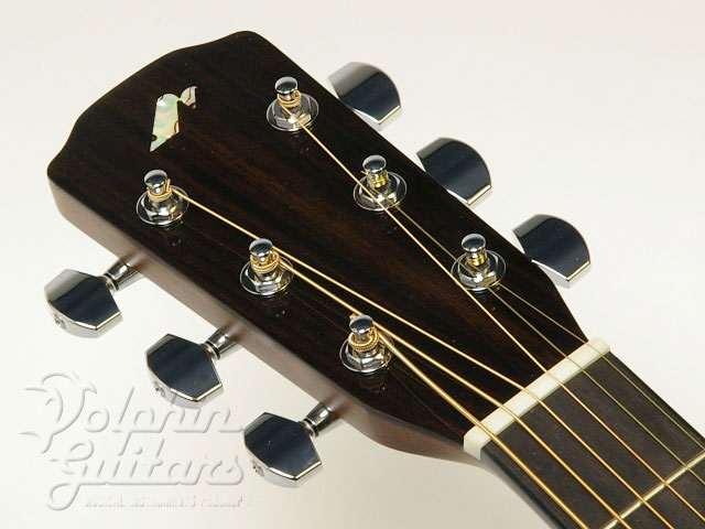 MORRIS M-LTD|ドルフィンギターズ