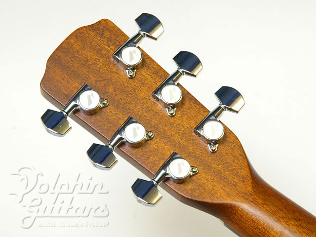 MORRIS M-LTD|ドルフィンギターズ