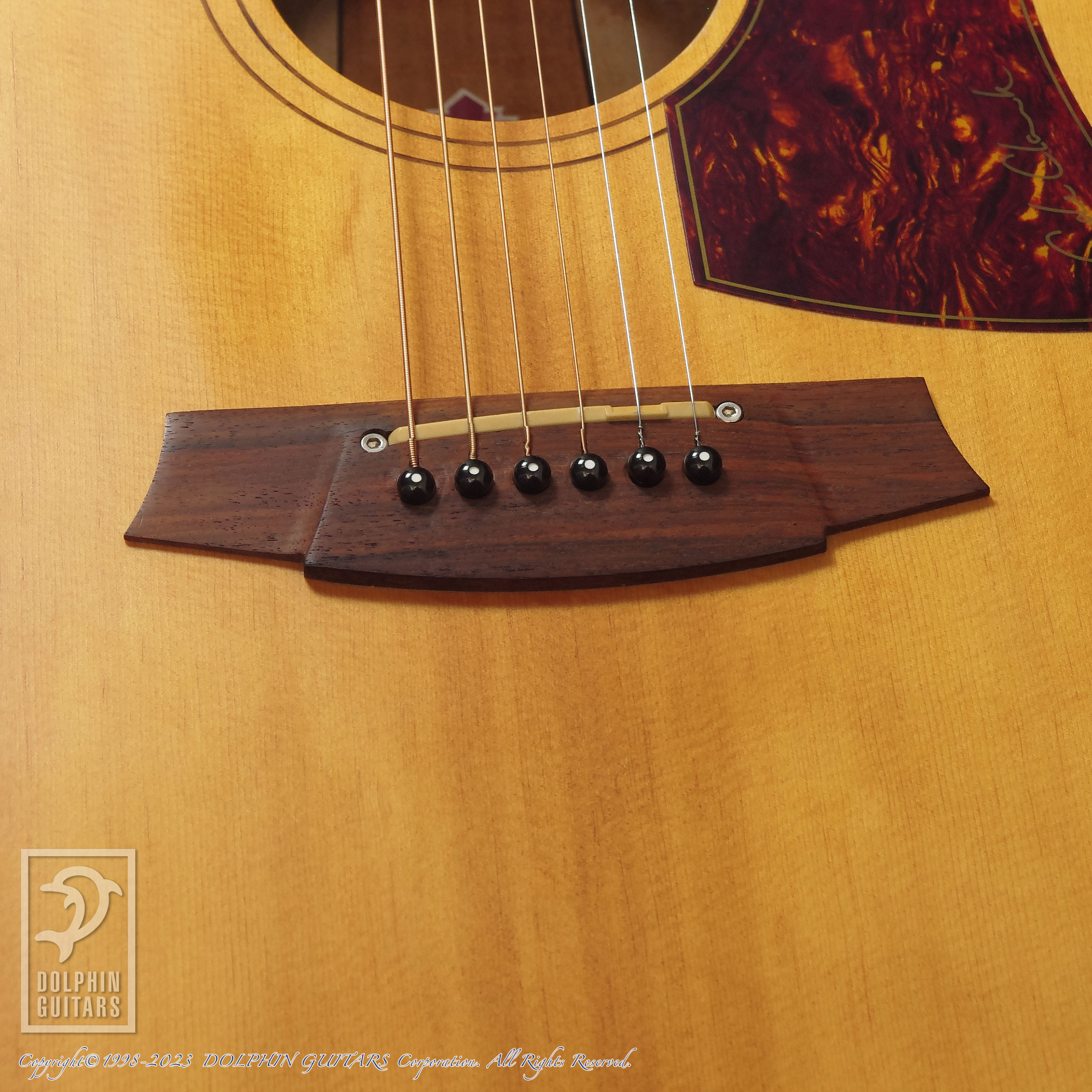 COLE CLARK FL2AC|ドルフィンギターズ