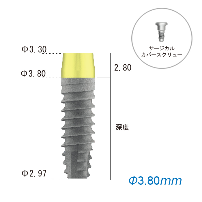 プラマインプラント ZirTi 380 1セット |大信ネットショップ