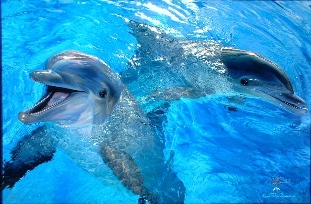 クリスチャンリースラッセン ヴァルアモアナ（ラッセングラフ）