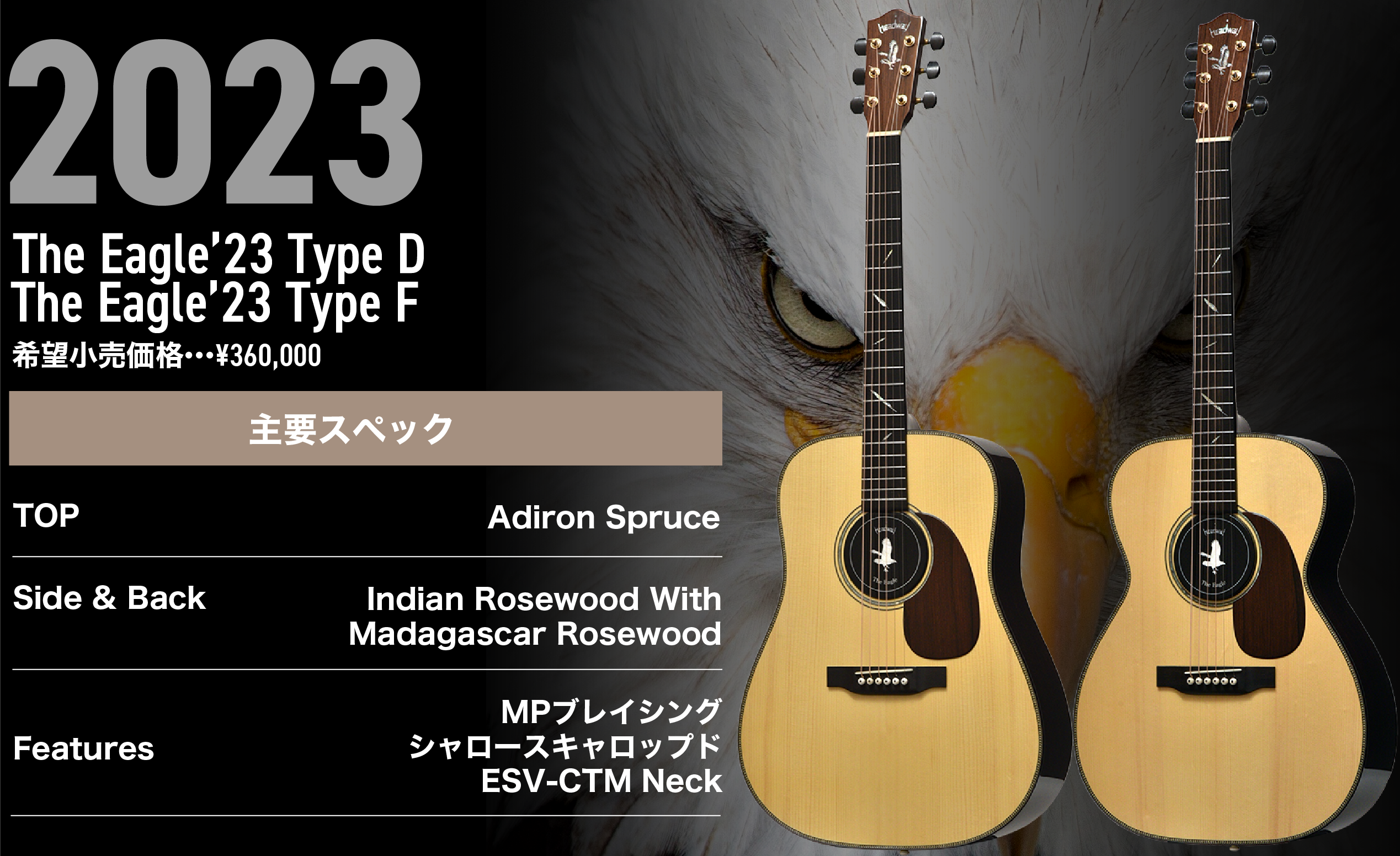 年号モデル | Deviser ｜株式会社ディバイザー｜長野県松本市のギター