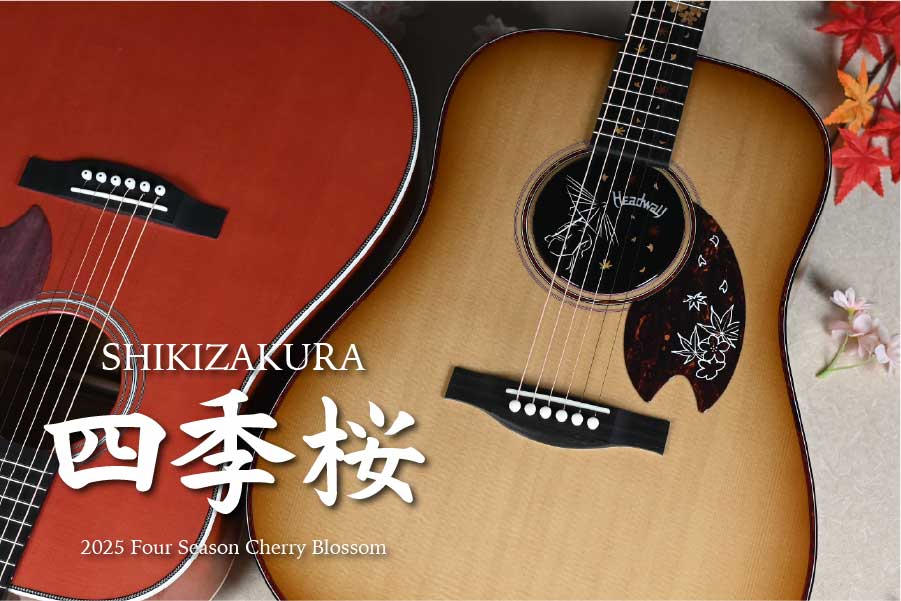 Headway Guitars | Deviser ｜株式会社ディバイザー｜長野県松本市の