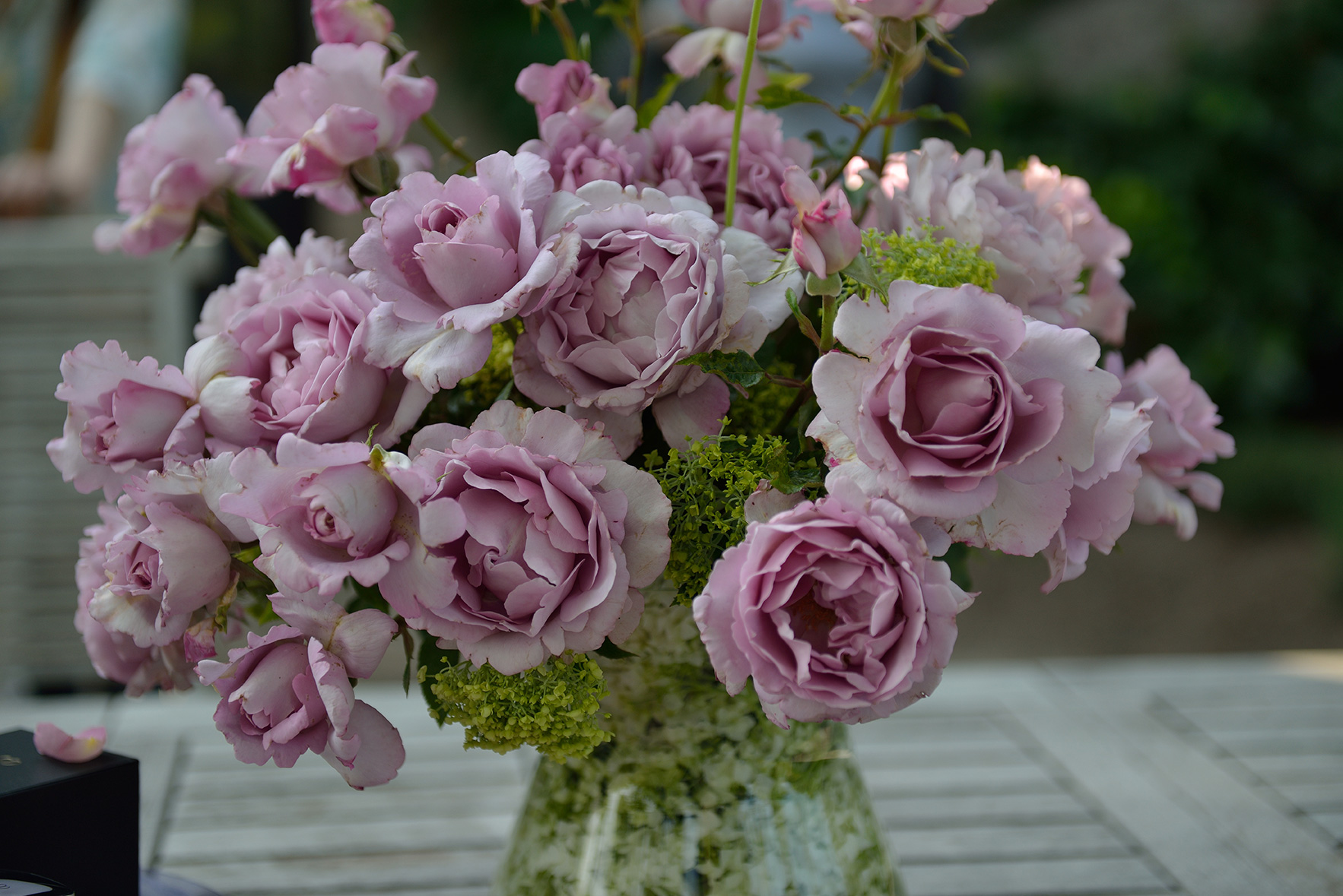 ローズシナクティフ | デルバールJAPON