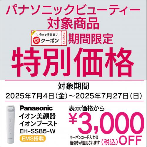 デンキチWeb / パナソニック Panasonic イオン美顔器 IONBOOST(イオン