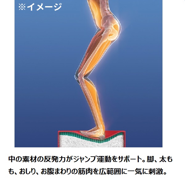 パーフェクトエクサ ディノスANAmall店