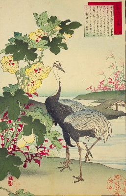 幸野楳嶺の花鳥画譜 | NDLイメージバンク | 電子展示会