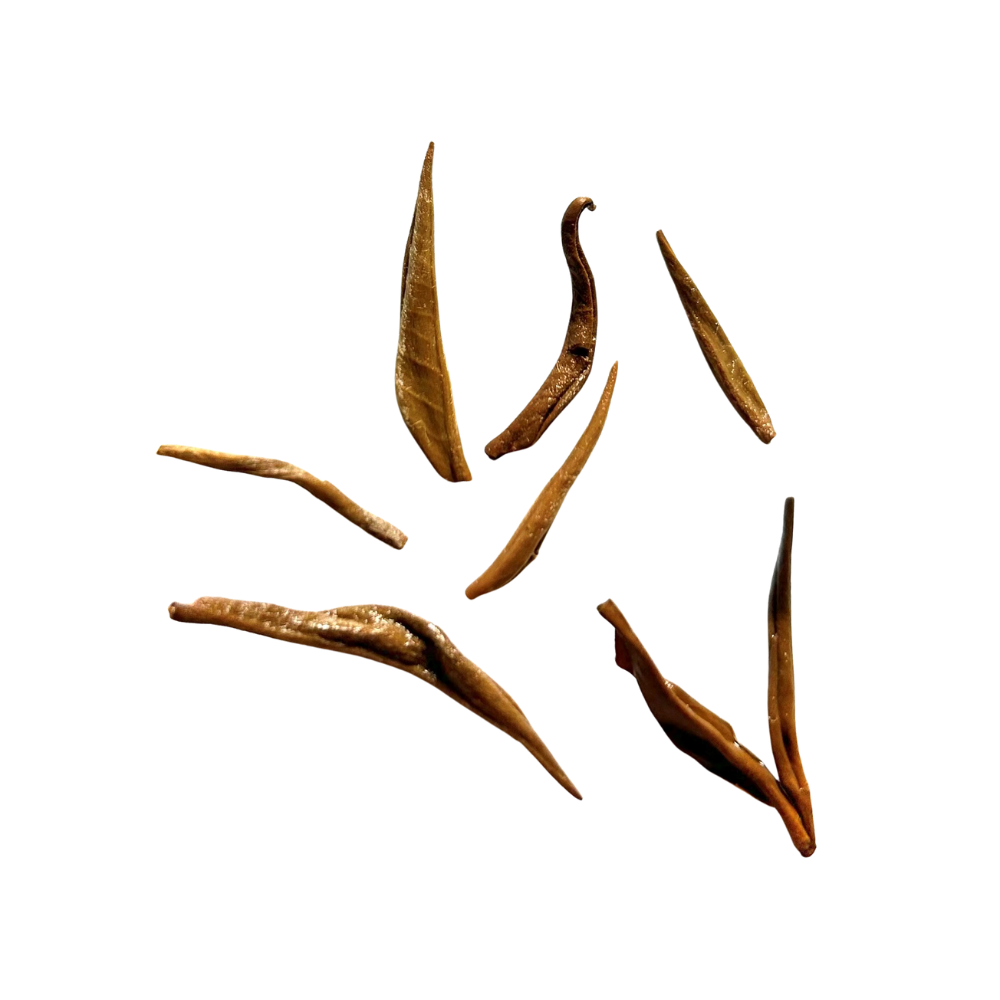 Yunnan Golden Tip – Drinkblad