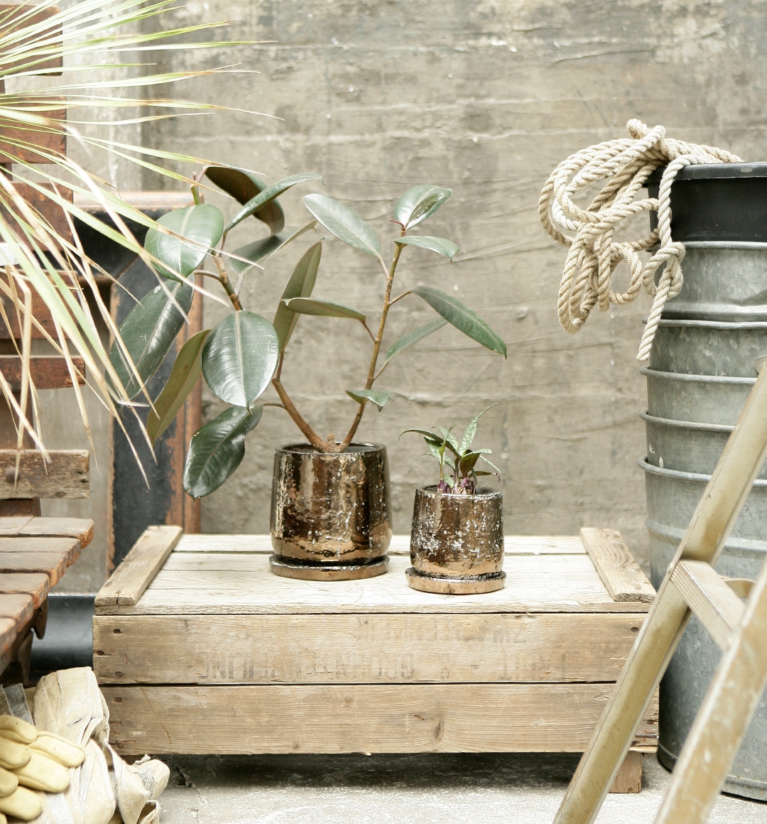 個性溢れるポット・プランター | 豊富なバリエーション