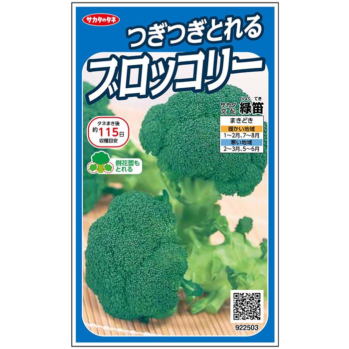 緑笛[ブロッコリー] - e-種や｜国内最大級の野菜種・花種・苗・農業