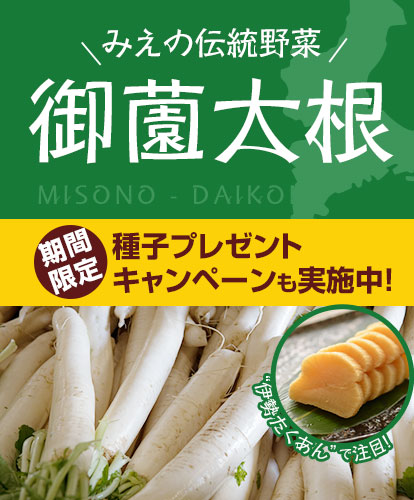 みえの伝統野菜-御薗大根 - e-種や｜野菜種、花種と苗の三重興農社