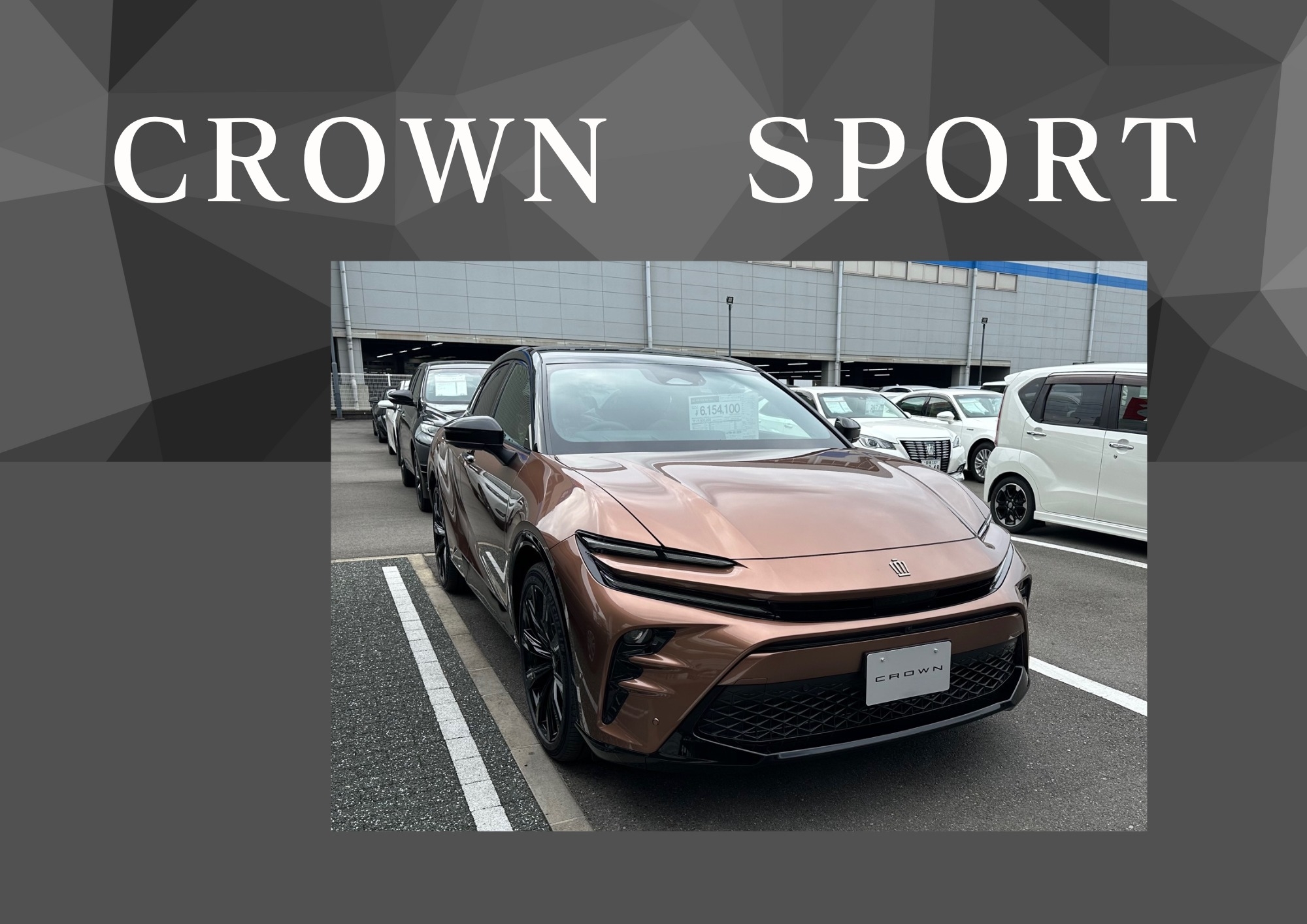 おーちゃん専用 トヨタクラウンスポーツ 1/30 ブラック×プレシャス