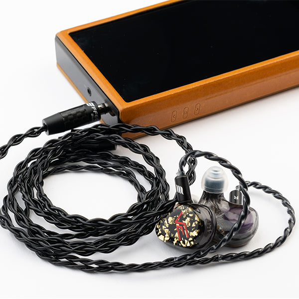 VISION EARS MEISTER First Edition(Universal Fit) – e☆イヤホン