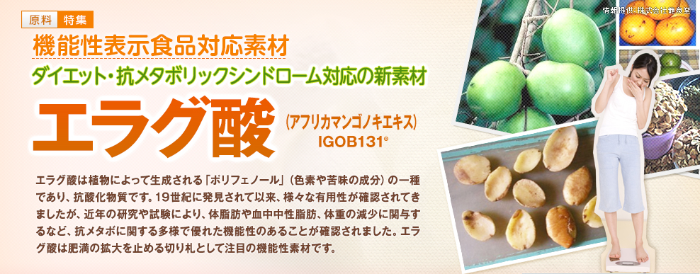 エラグ酸（アフリカマンゴノキエキス／IGOB131®）機能性表示食品対応