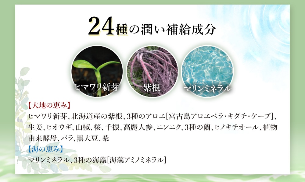 薬用育毛剤 新髪24V-UP 200mL: ヘアケア／はぴねすくらぶ