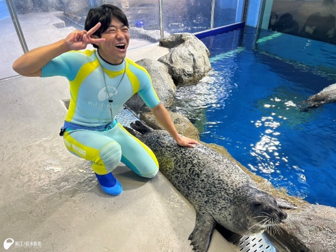 えのすい20周年 ～生き物たちへの感謝～ ゴマフアザラシ 「ココ