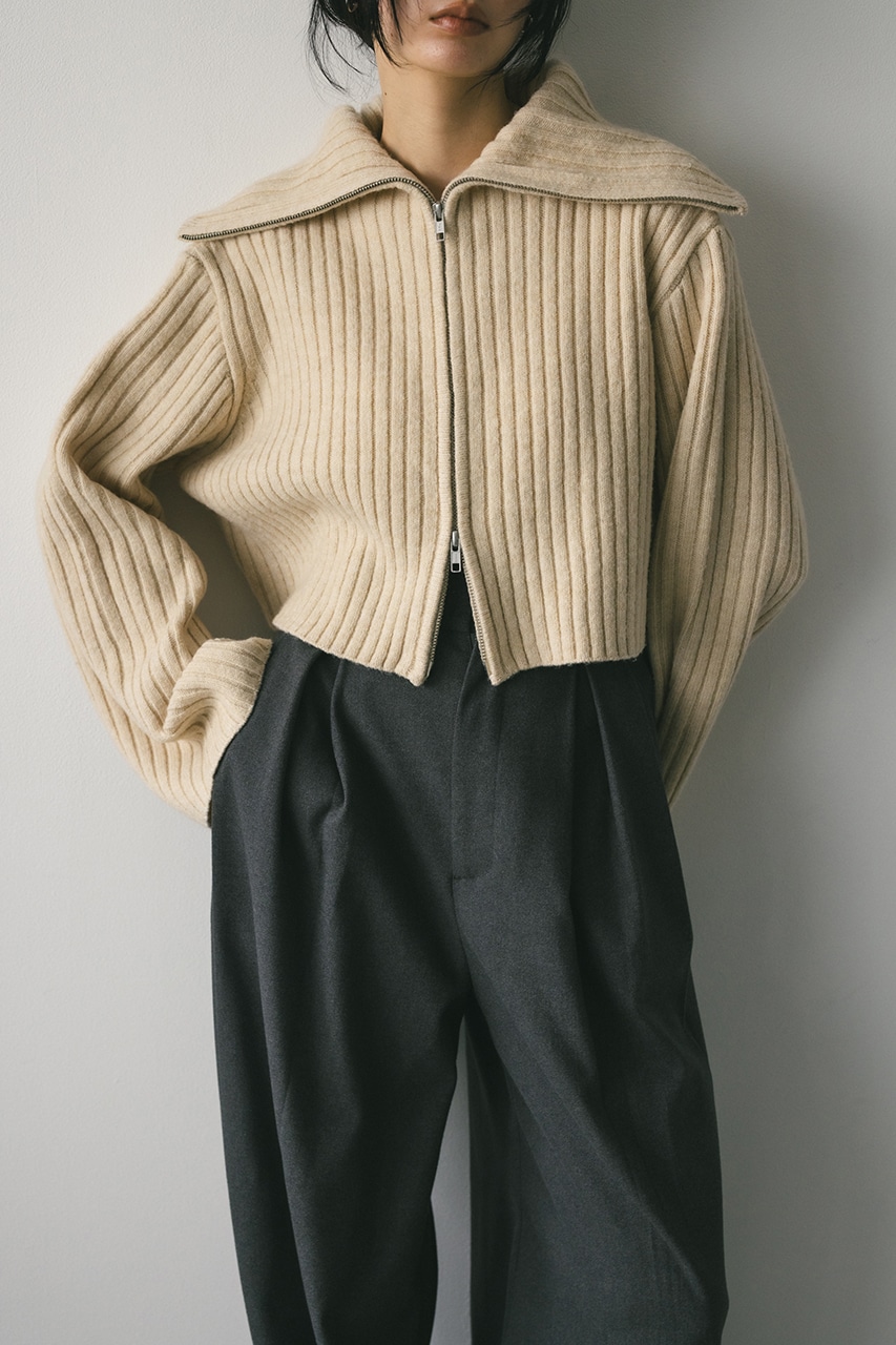 STYLEMIXER | ビッグカラージップショートニット (ニット ) |SHEL'TTER