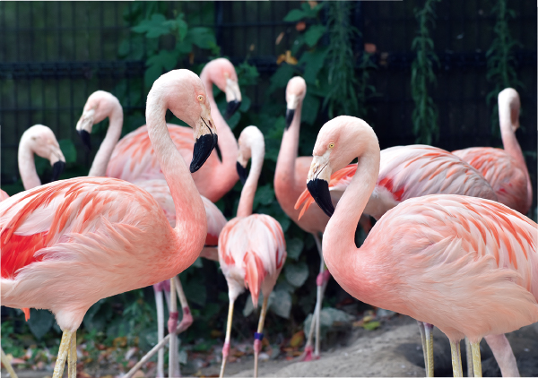nagano2204zoo2.jpg