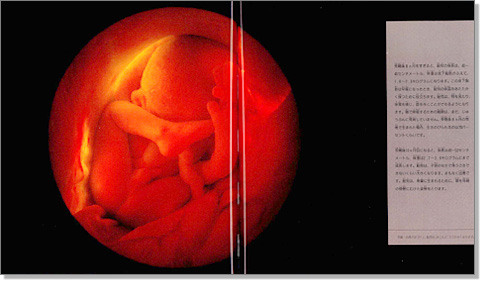 赤ちゃんの誕生 | ニコル・テイラー,レナルト・ニルソン,上野 和子 | 1