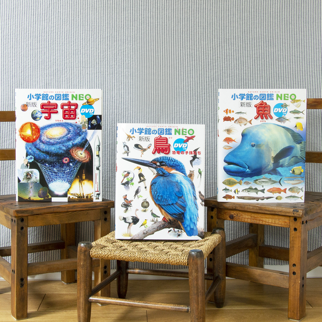 送料無料）「小学館の図鑑NEO」自然大好きセット（ギフトラッピング
