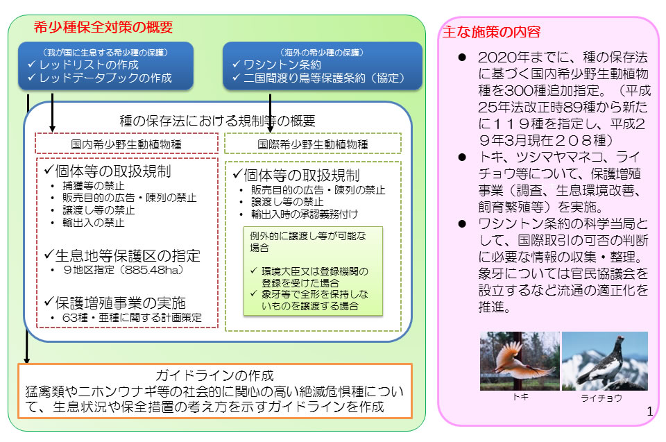 第263回 絶滅のおそれのある野生動植物の種の保存に関する法律（種の