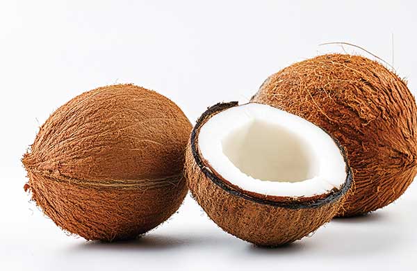 新商品】サステナブル原料×発酵の恵み | エルセラーン化粧品