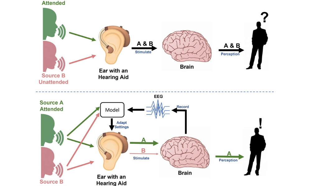 New EEG-based Source Localization Methods for Investigating the