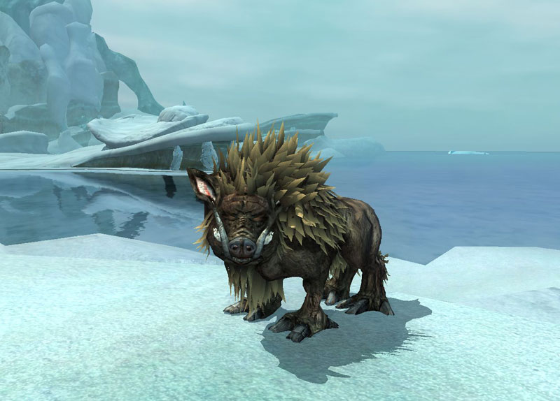 Age of Discovery Collector's Edition Items | EverQuest II