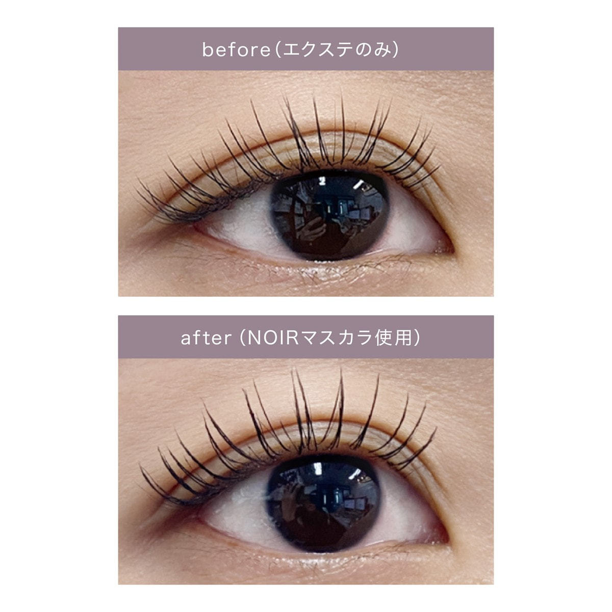 BL】ノワールマスカラ［8ml］の通販・卸売り | アイラッシュガレージ