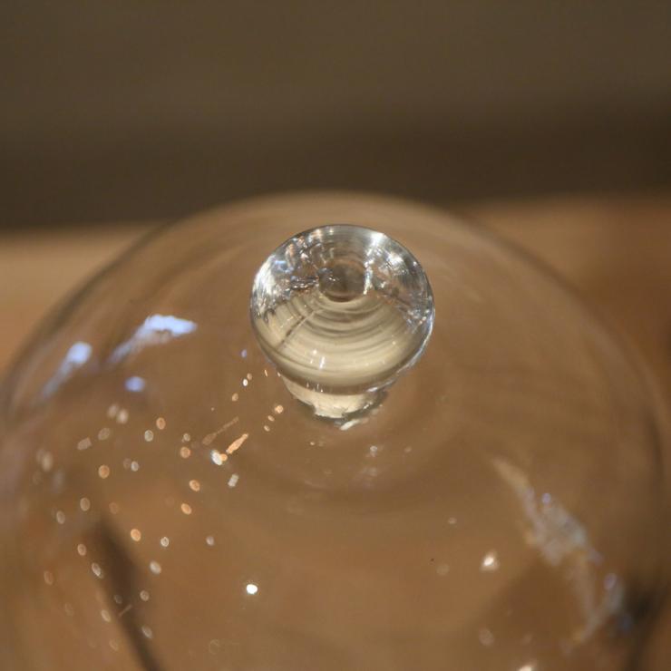 フランス アンティーク ガラスドーム – フランス、ヨーロッパの