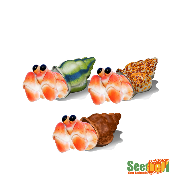 Seeshell Growing Toy Hermit Crabs Series Y5-F665-1 - FOLUCK