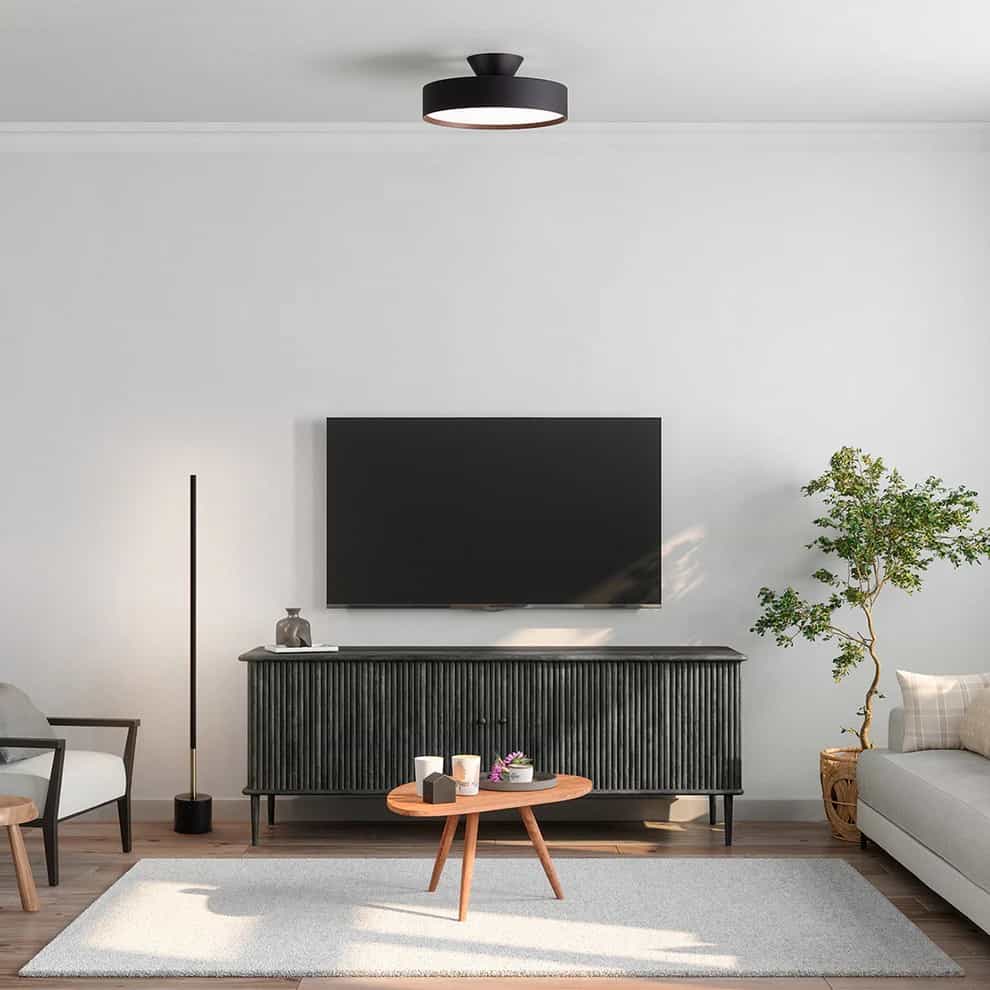 AW-0555E(BK/LW) アートワークスタジオ製シーリングライト