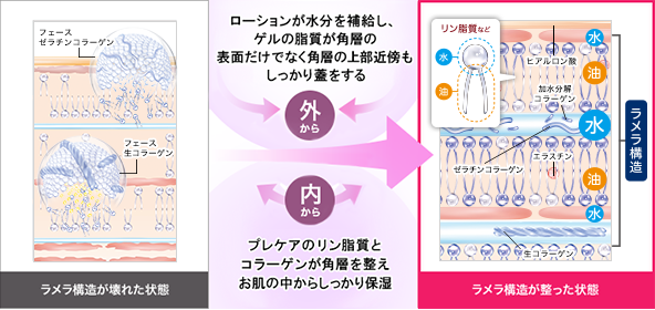 特許取得｜フェースグループについて｜肌結果を約束する フェース