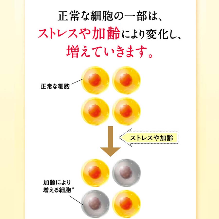 健康食品・サプリメント】ウェルエイジ プレミアム│ファンケルオンライン