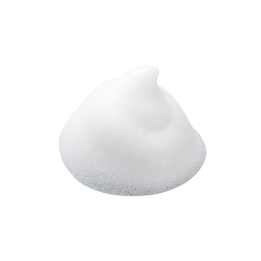 化粧品】クリアアップ 泡洗顔料＜医薬部外品＞│ファンケルオンライン