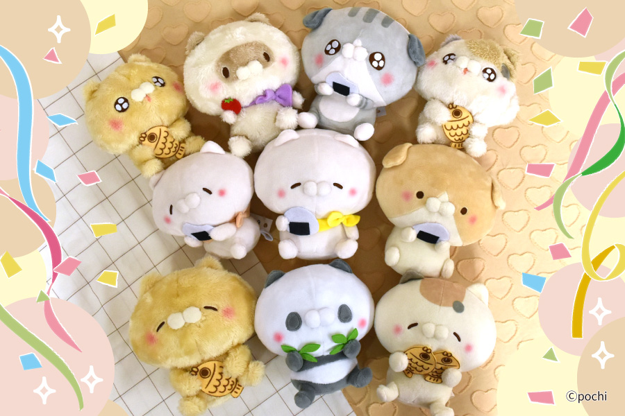 SNSで大人気の「こどもにゃんこ」「となりのにゃんこ」第2弾が