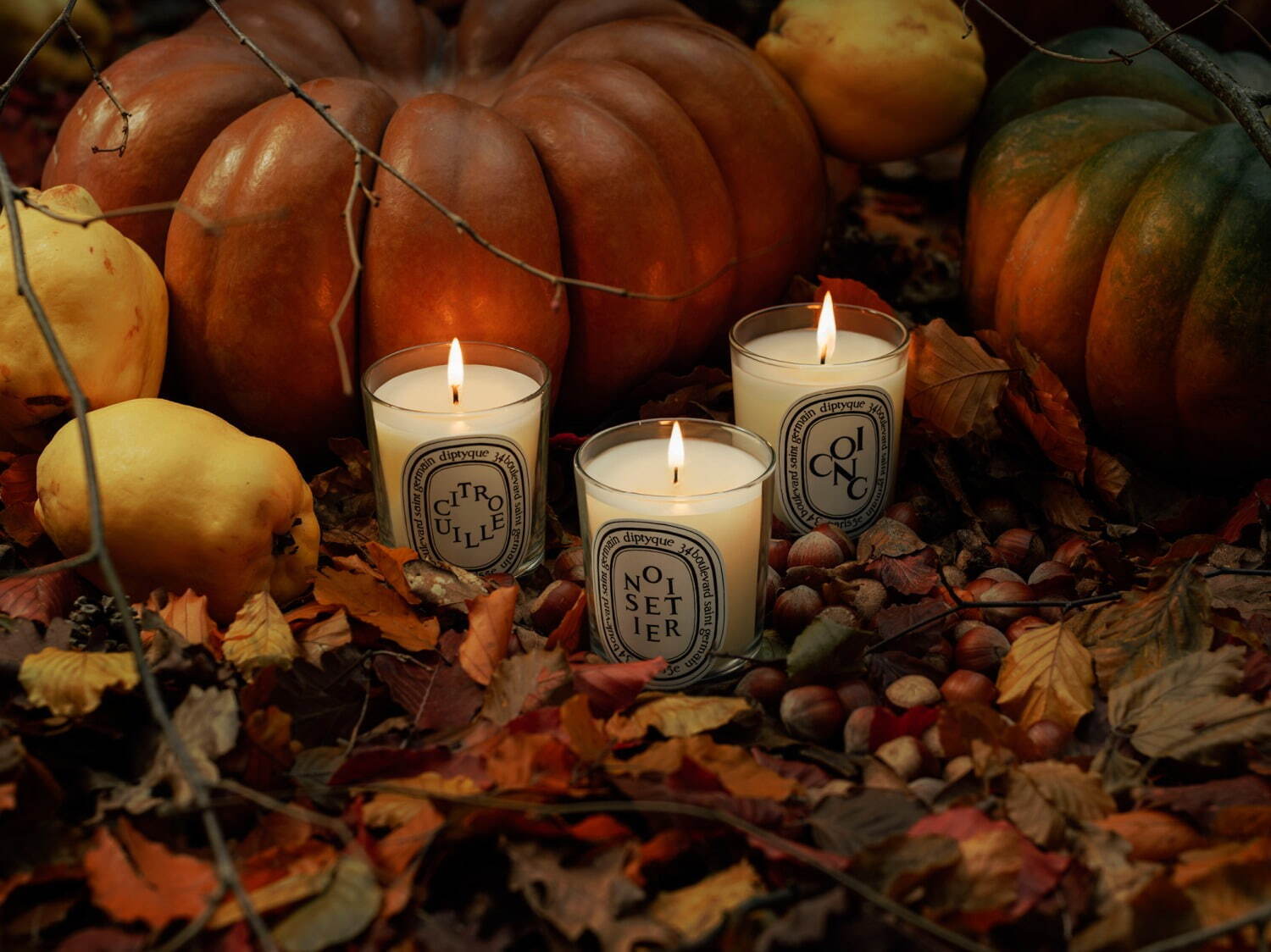 ディプティック「シトルイユ」“パンプキンパイ＆マロンの香り”の秋冬