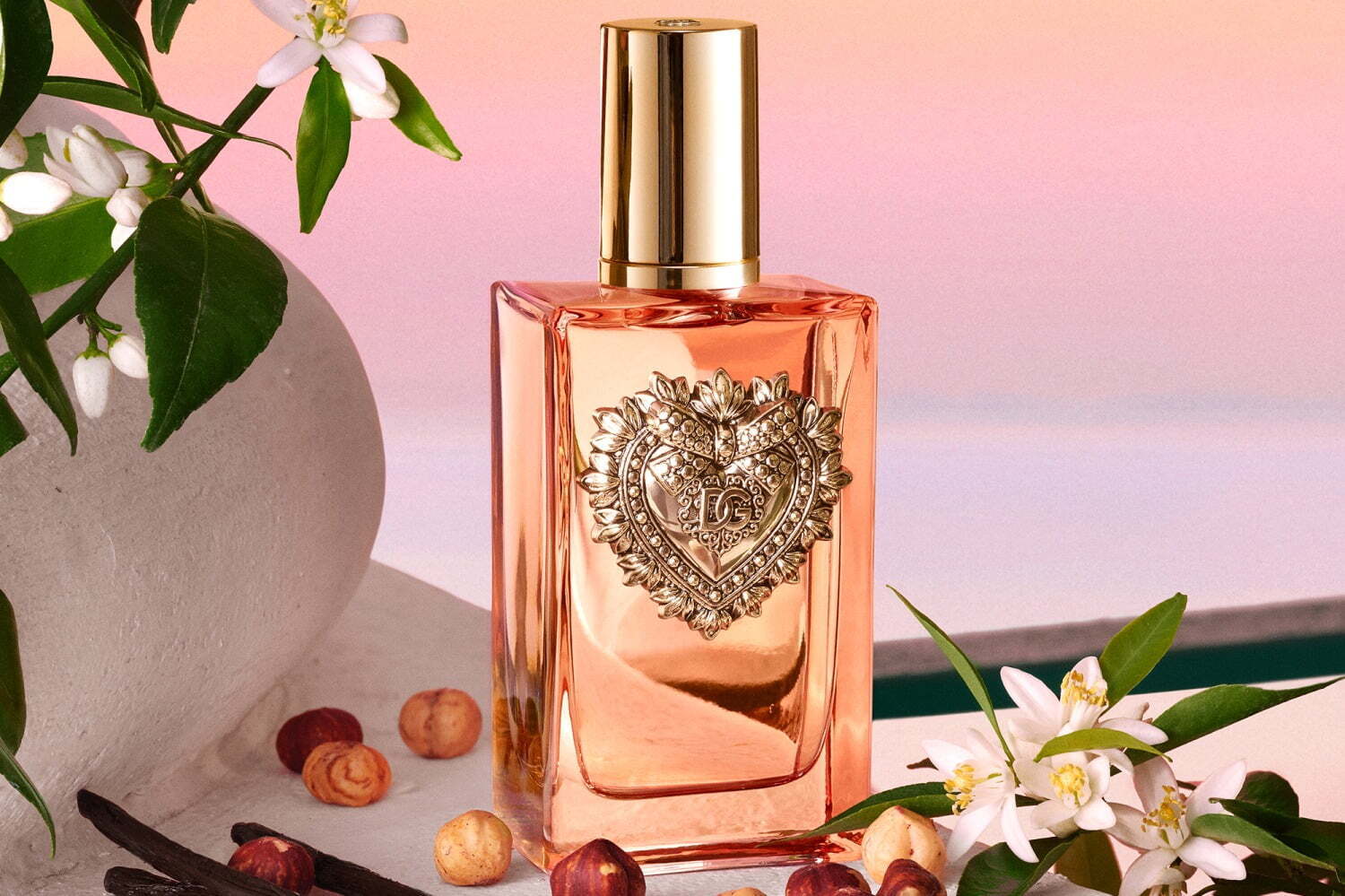 ドルチェ＆ガッバーナ24年秋フレグランス「ディヴォーション」心地よい