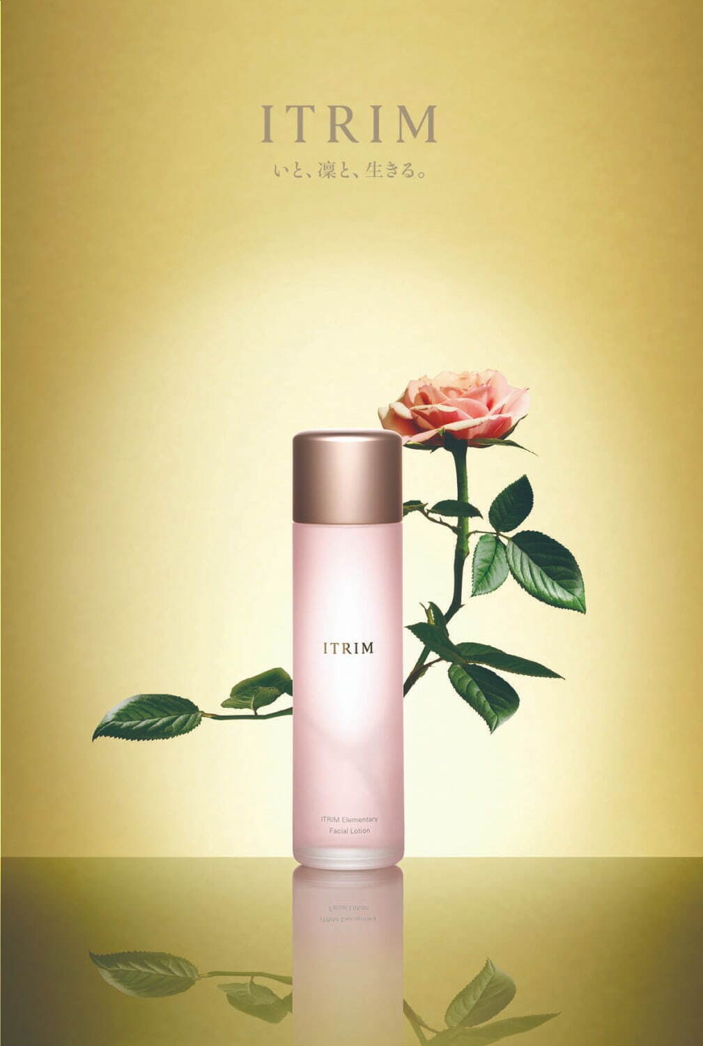 イトリンの新生スキンケア「エレメンタリー フェイスケア」“大人の肌