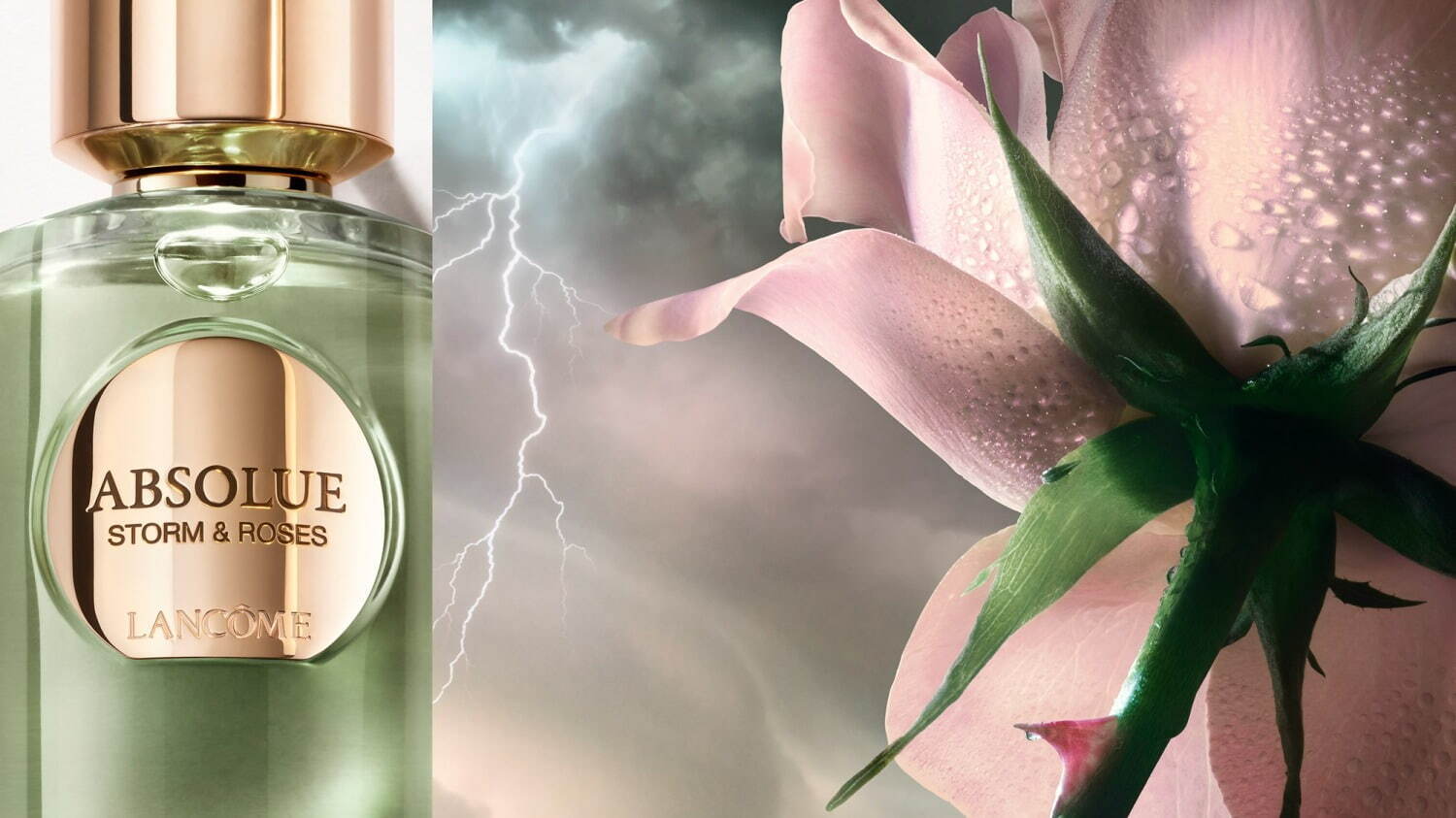 ランコム最高峰フレグランス「アプソリュ レ パルファン」24年冬誕生