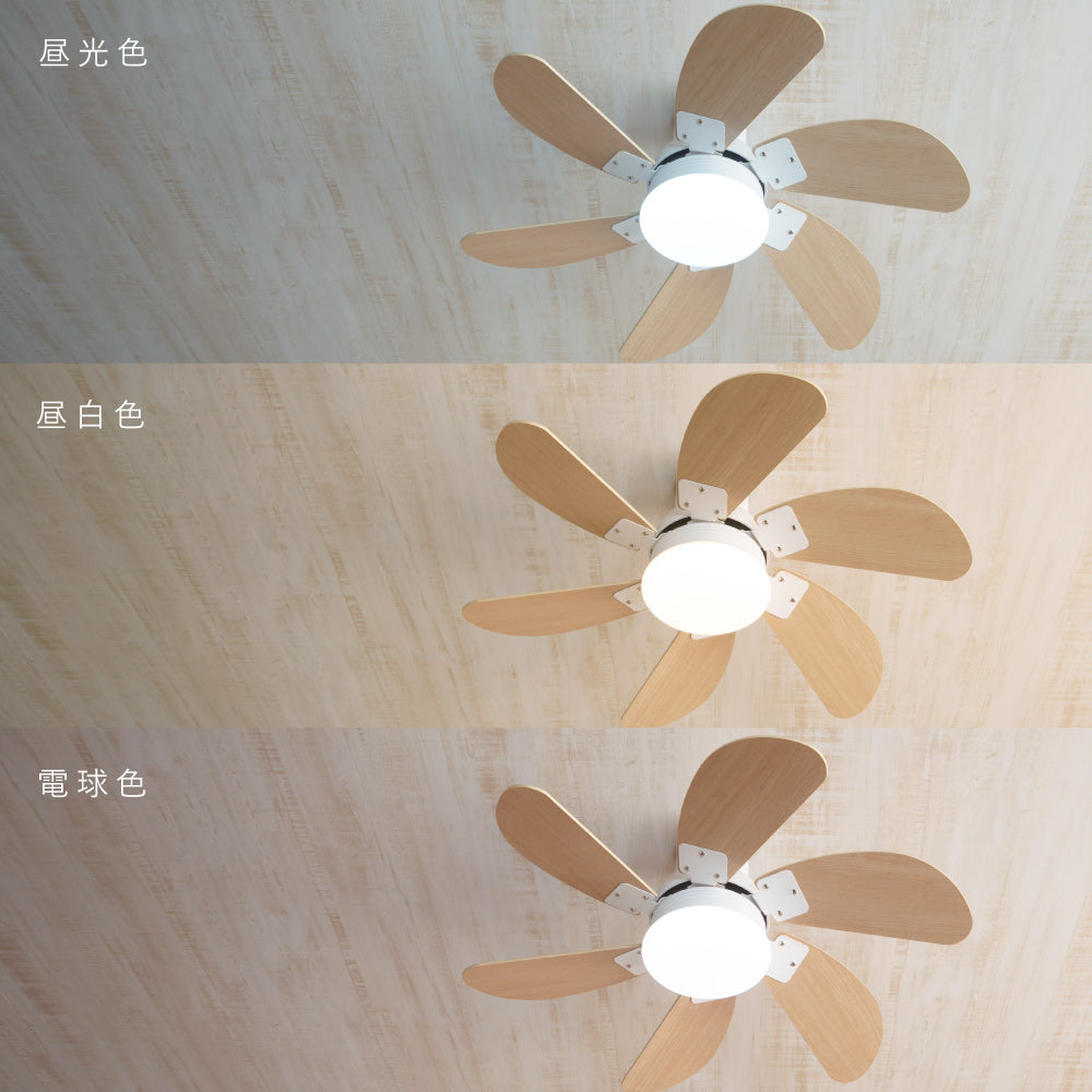 あす着] シーリングファンライト 傾斜天井対応 LED リモコン付き DC