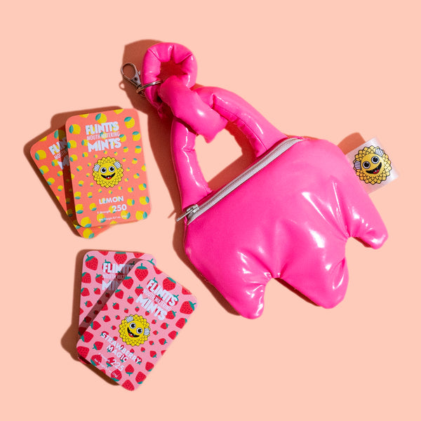 Icy Pink Lemonade Bag Charm Bundle – Flintts