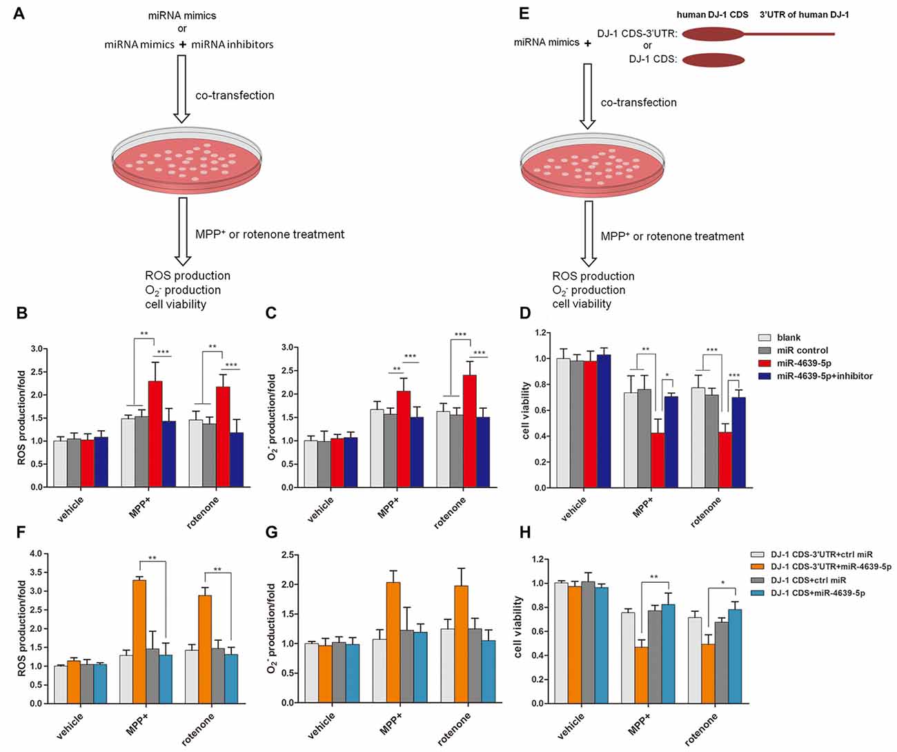 Frontiers | MicroRNA-4639 Is a Regulator of DJ-1 Expression and a