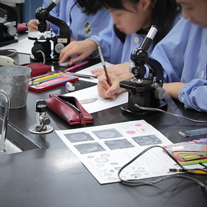 学習指導｜教育内容｜雙葉小学校