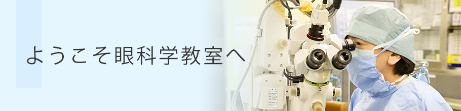 ようこそ眼科学教室へ｜藤田医科大学 医学部 眼科学教室